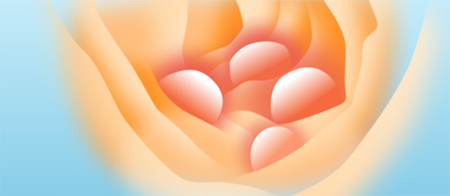 4-large